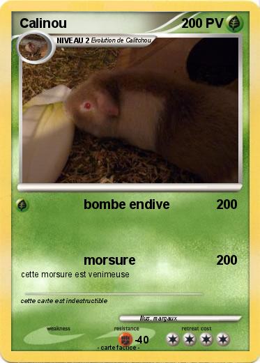 Pokemon Calinou