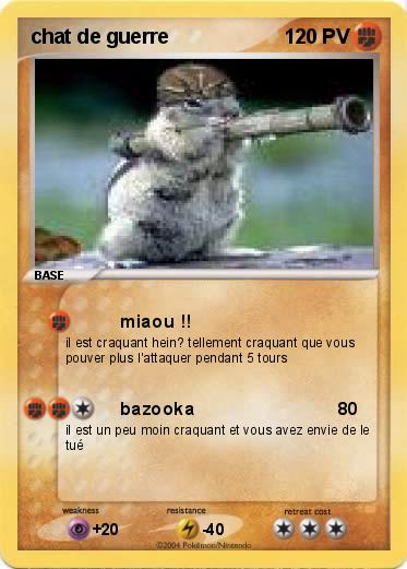 Pokemon chat de guerre