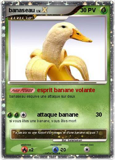 Pokemon banaseau