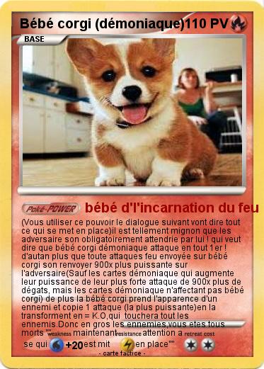 Pokemon Bébé corgi (démoniaque)
