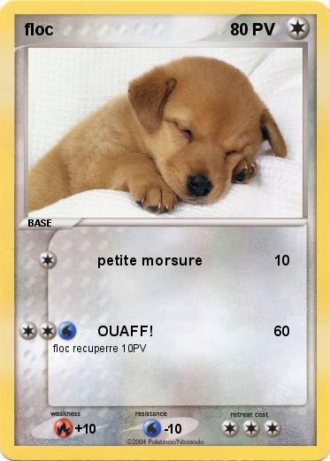 Pokemon floc