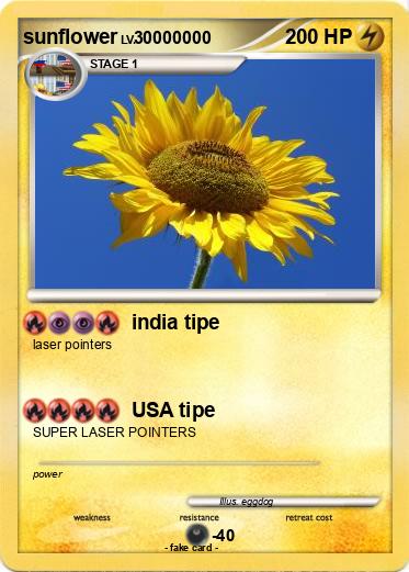 Pokemon sunflower