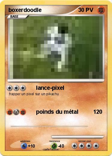 Pokemon boxerdoodle