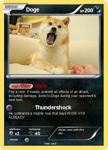 Pokemon Doge