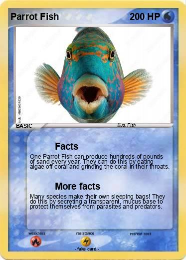 Pokemon Parrot Fish