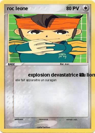 Pokemon roc leone
