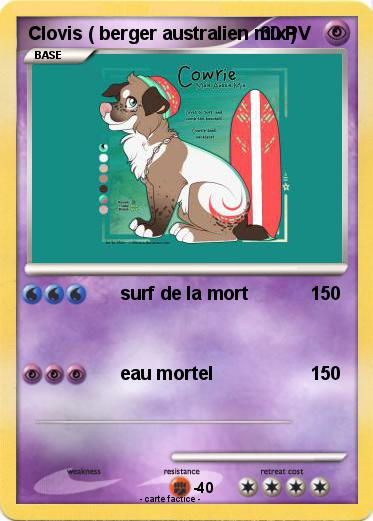 Pokemon Clovis ( berger australien mix )