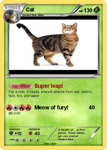 Pokemon Cat