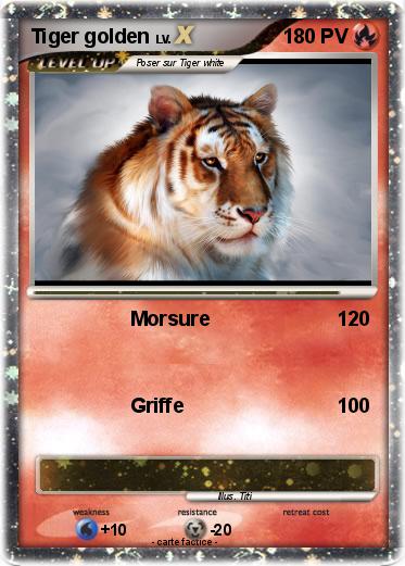 Pokemon Tiger golden