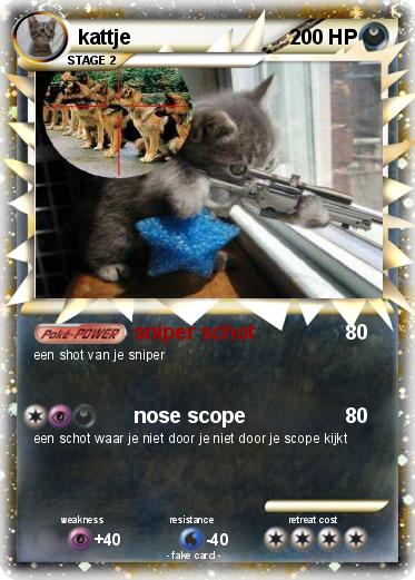 Pokemon kattje