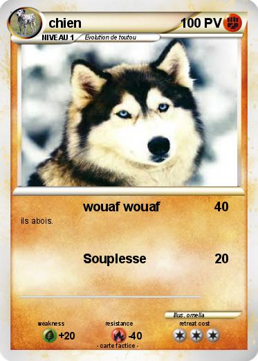Pokemon chien
