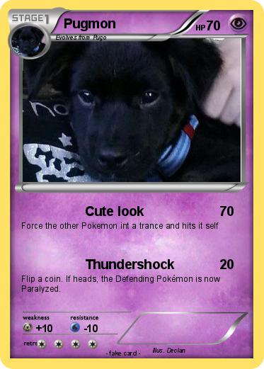 Pokemon Pugmon