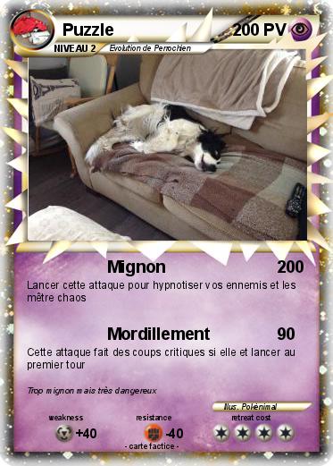 Pokemon Puzzle