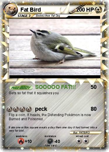 Pokemon Fat Bird