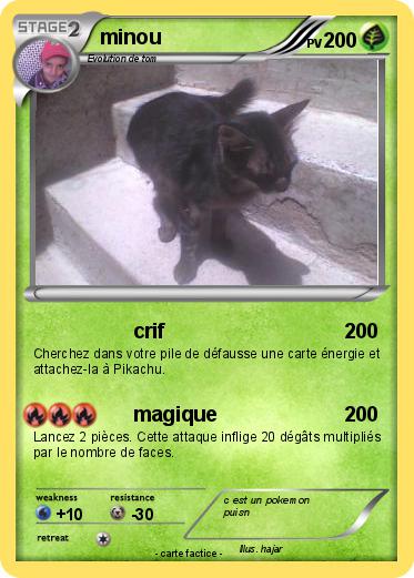 Pokemon minou