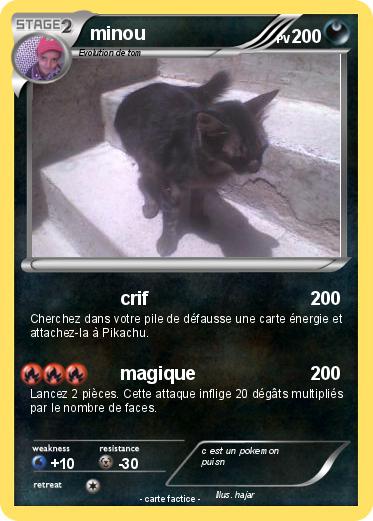 Pokemon minou