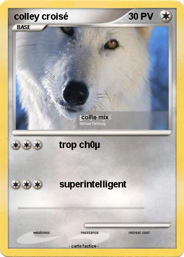 Pokemon colley croisé