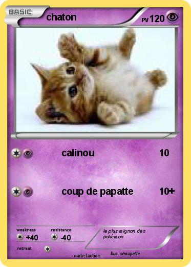 Pokemon chaton
