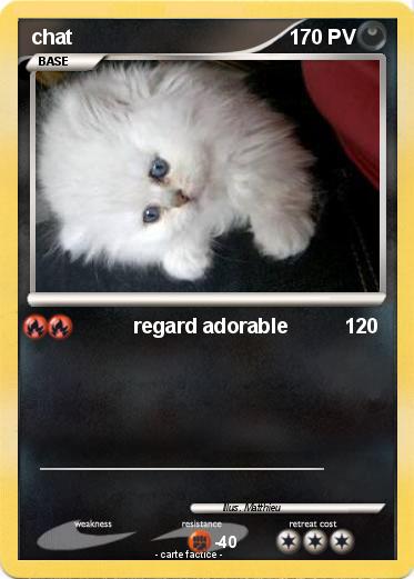 Pokemon chat