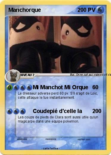 Pokemon Manchorque