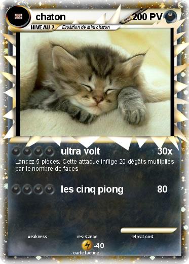Pokemon chaton
