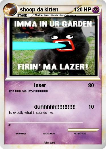 Pokemon shoop da kitten