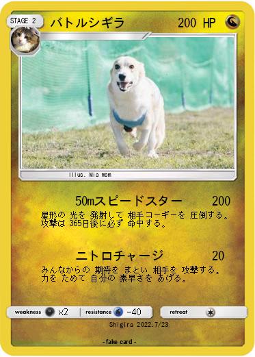 Pokemon バトルシギラ