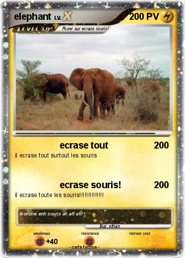 Pokemon elephant