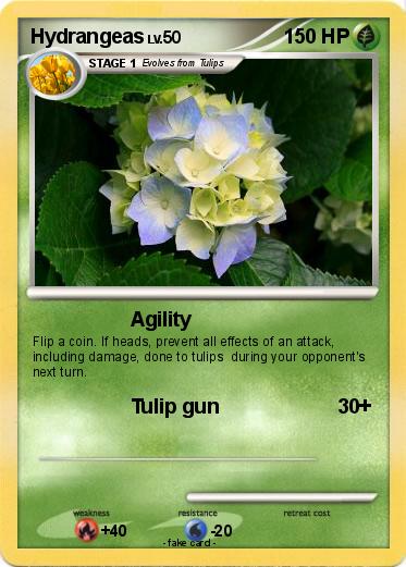 Pokemon Hydrangeas