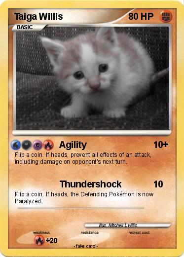 Pokemon Taiga Willis