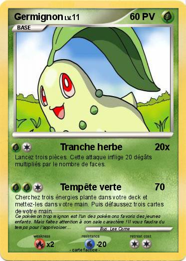 Pokemon Germignon