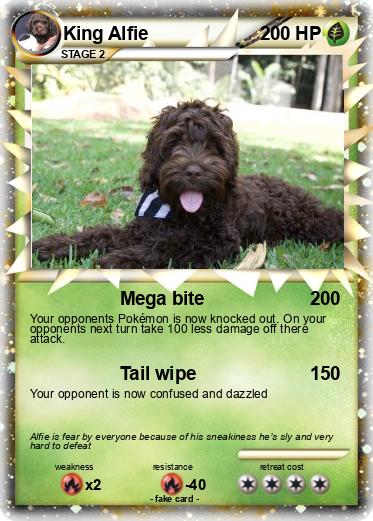Pokemon King Alfie