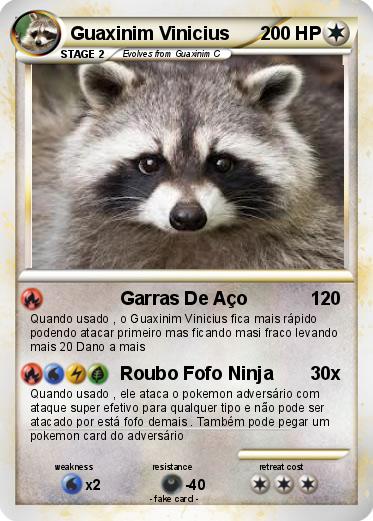 Pokemon Guaxinim Vinicius