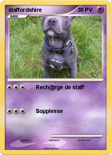 Pokemon staffordshire