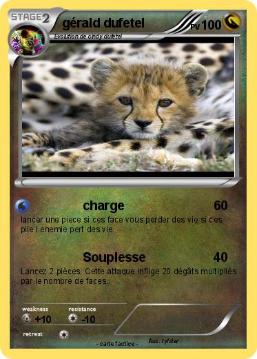 Pokemon gérald dufetel
