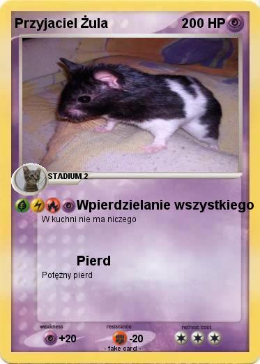 Pokemon Przyjaciel Żula