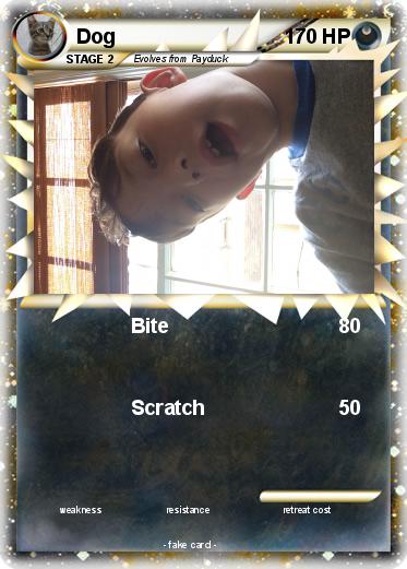 Pokemon Dog