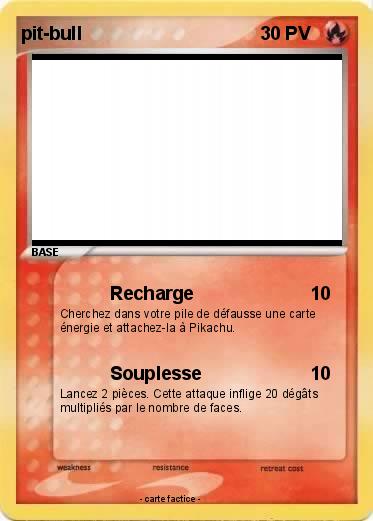 Pokemon pit-bull