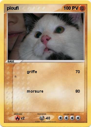 Pokemon ploufi
