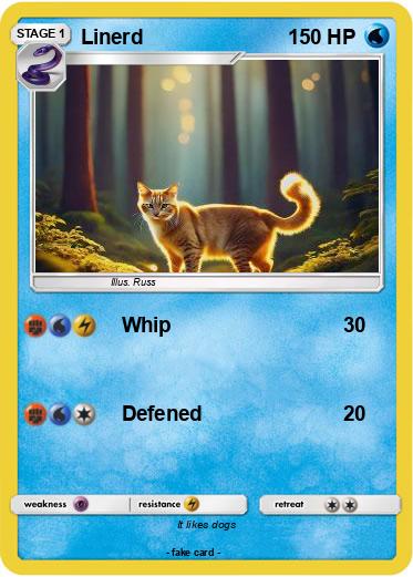Pokemon Linerd