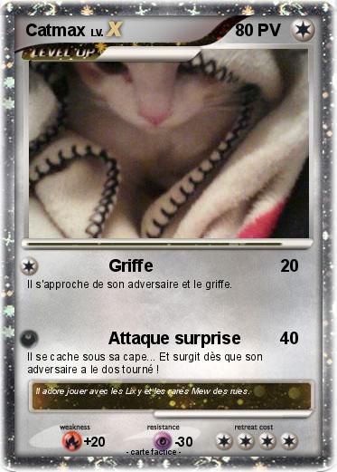 Pokemon Catmax