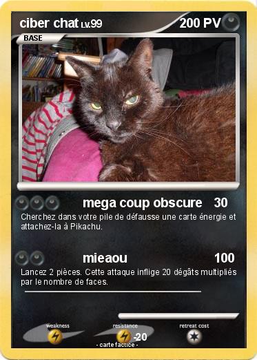 Pokemon ciber chat