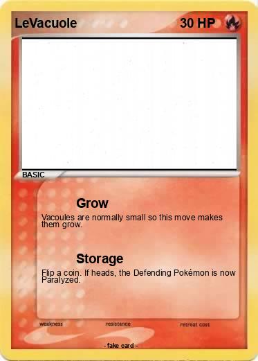 Pokemon LeVacuole