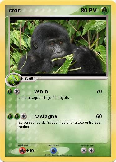 Pokemon croc
