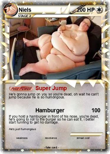 Pokemon Niels