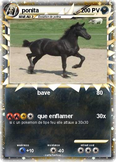 Pokemon ponita