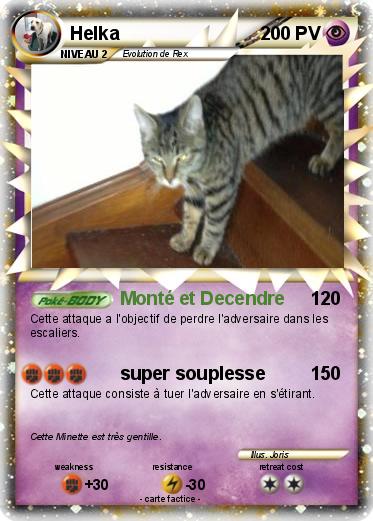 Pokemon Helka