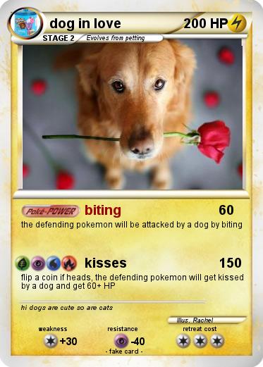 Pokemon dog in love