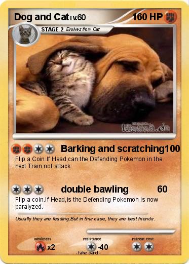Pokemon Dog and Cat