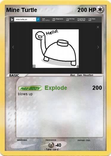 Pokemon Mine Turtle